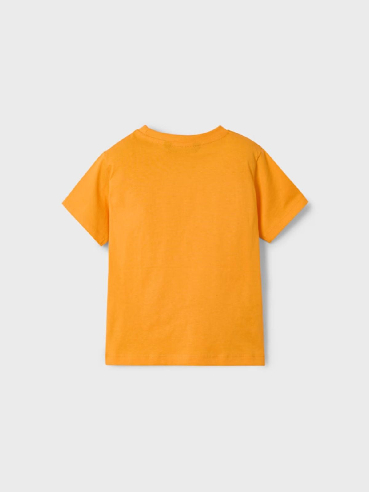 Camiseta estampado niño