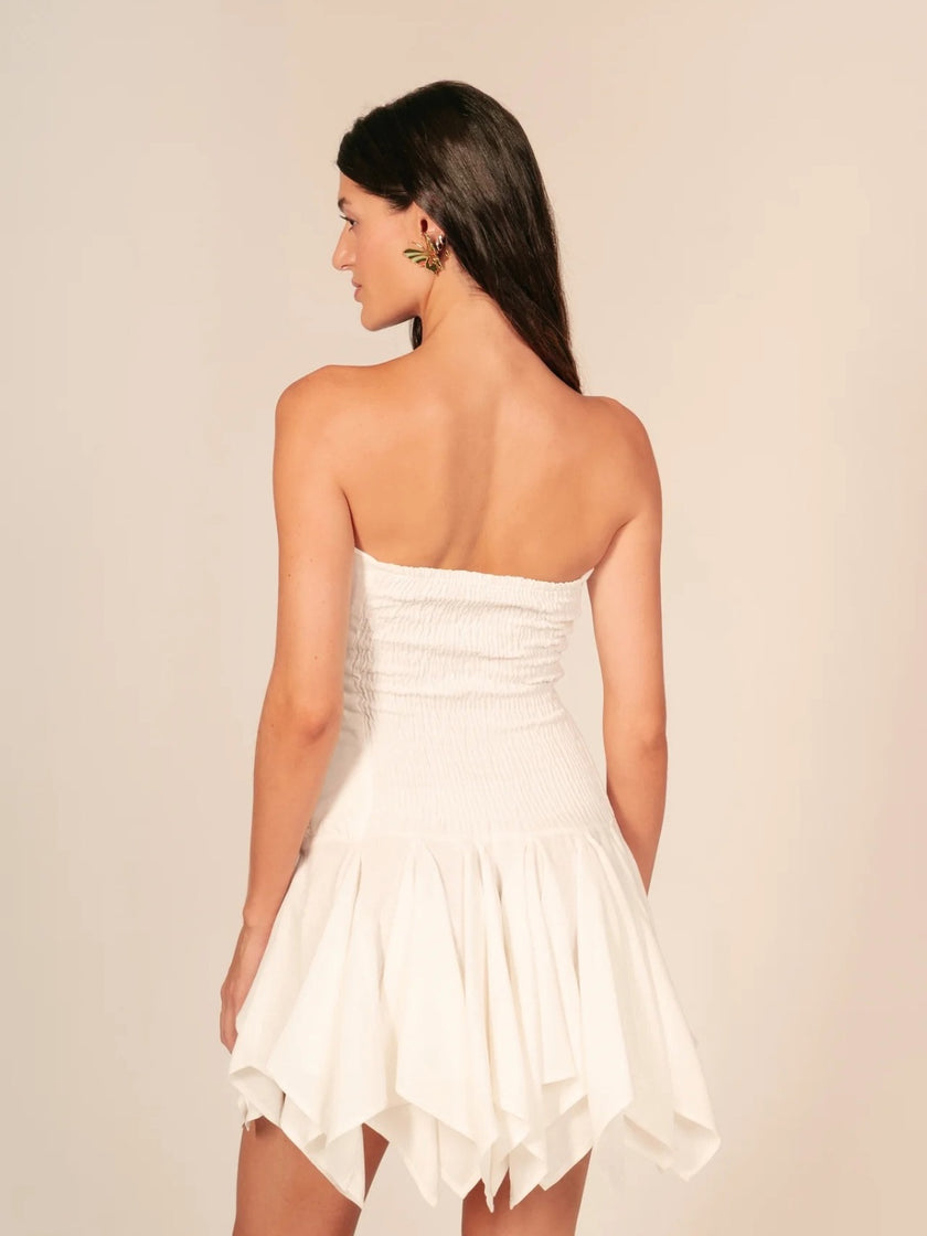 Secret Garden Mini Dress