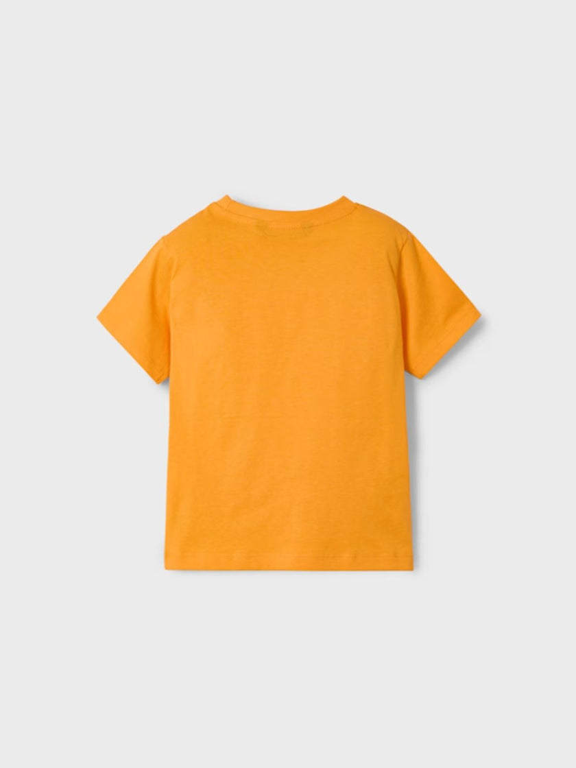 Camiseta estampado niño